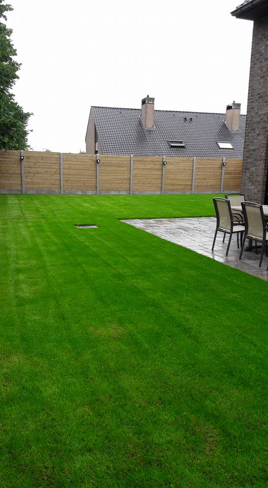 Thijs Cardon Algemene Karweien gras bedden tuin