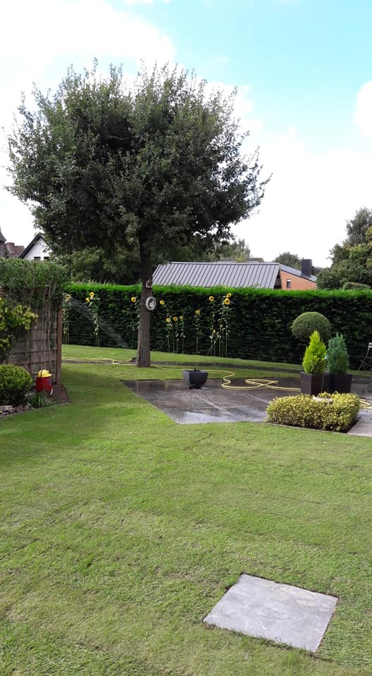 Thijs Cardon Algemene Karweien tuin
